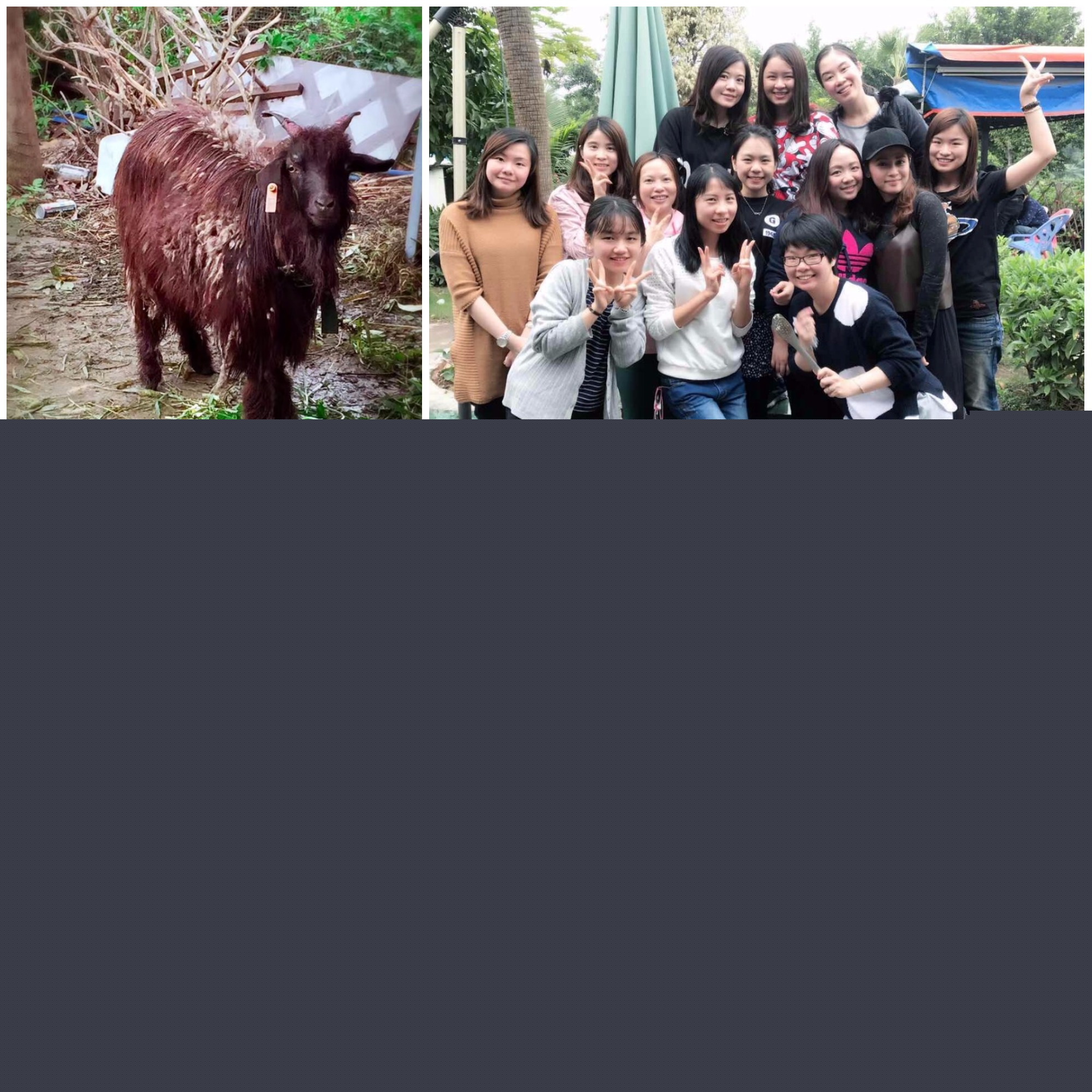 [景鴻快訊] 歡樂團建，實力與顏值并存的客戶關(guān)系支援團隊
