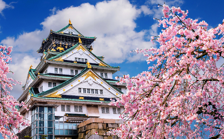 到日本開公司就有機(jī)會(huì)拿身份？甚至有機(jī)會(huì)快至1年拿永??？