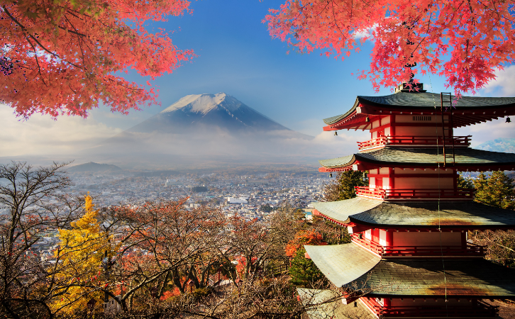 移居日本的中國人數(shù)多了4倍？看到這些原因，完全理解了！