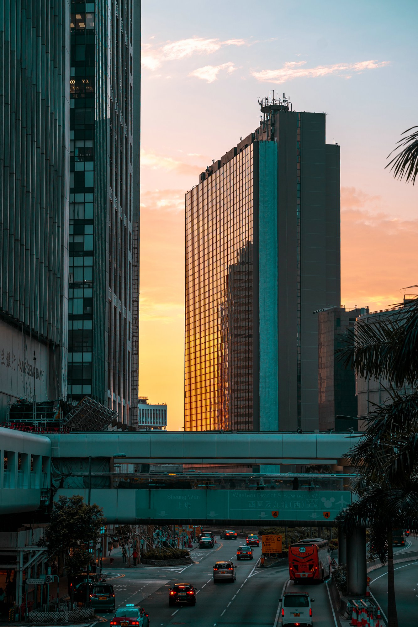香港專才計(jì)劃,移居香港
