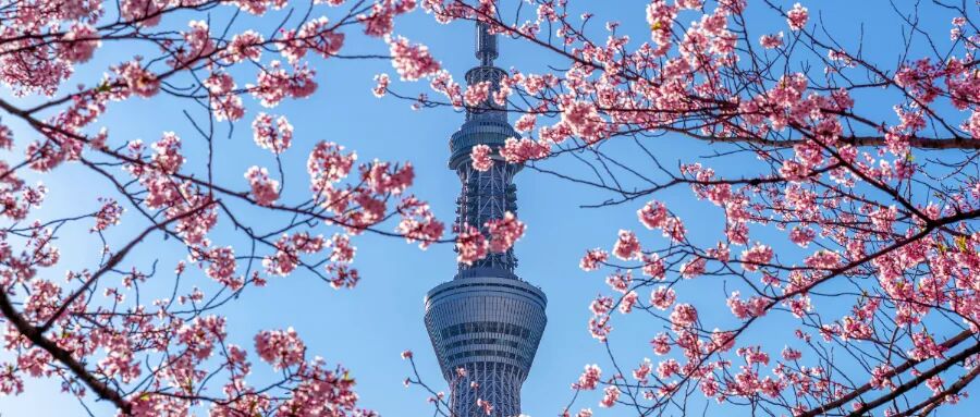 門(mén)檻猛翻6倍，還將新增這些要求？新政或在10月正式落地？